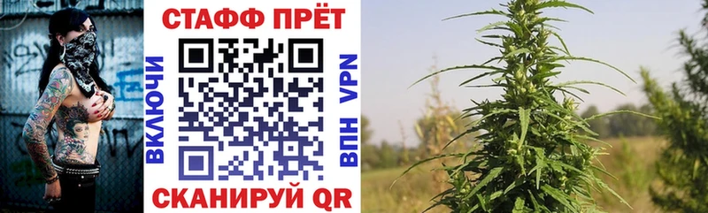 Где продают наркотики Стародуб Codein Cocaine МЕФ Каннабис Alpha-PVP