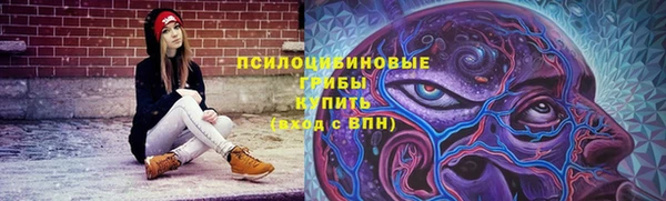 крисы Арсеньев
