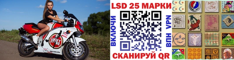 Марки N-bome 1,8мг купить наркотики сайты Стародуб