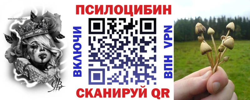 Псилоцибиновые грибы Psilocybine cubensis  Стародуб 