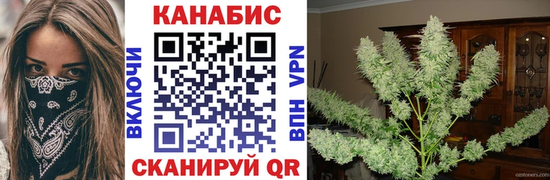 МАРИХУАНА планчик Стародуб